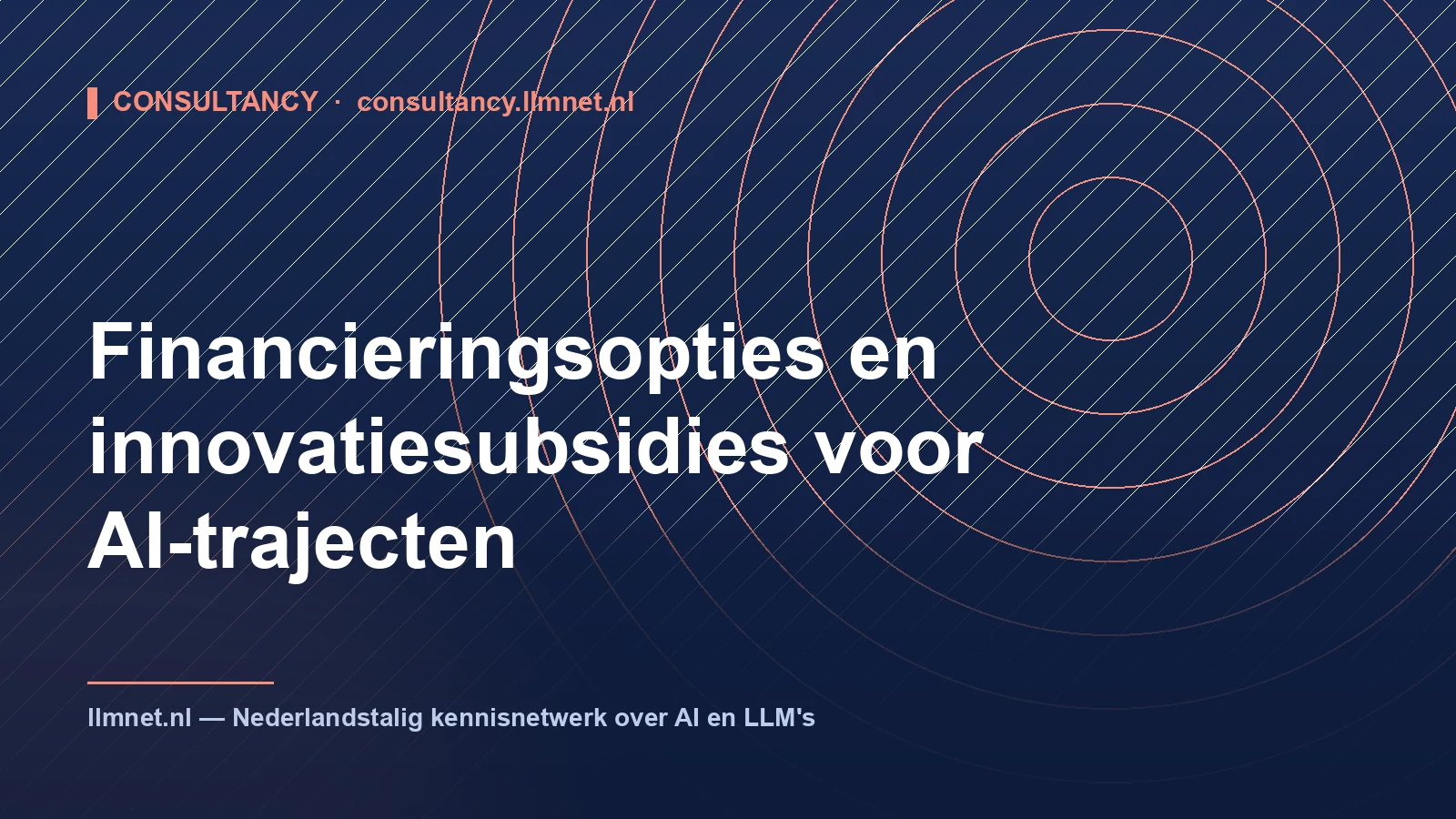 Subsidies en financiering voor AI-projecten